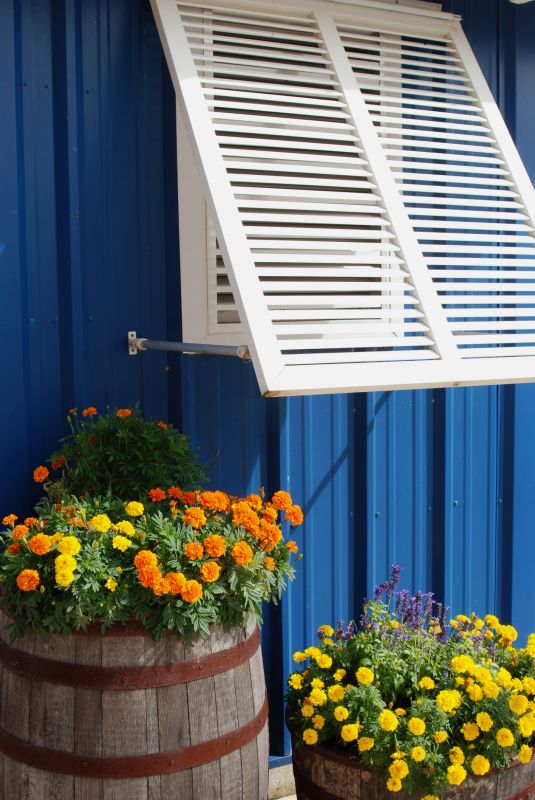 Window Shutters Replacement in Longmont, CO